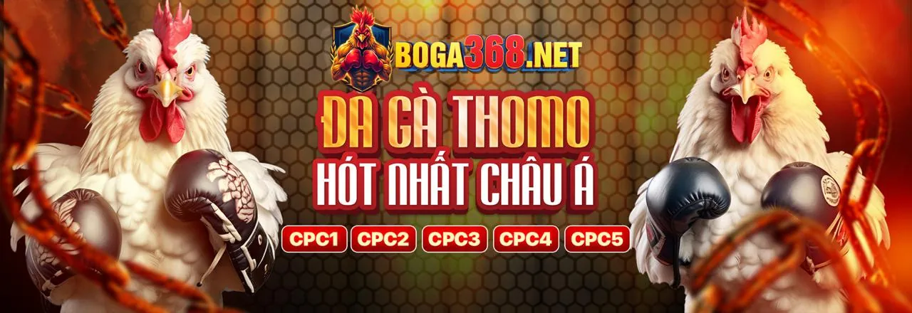 Đá gà trực tuyến u888 abc